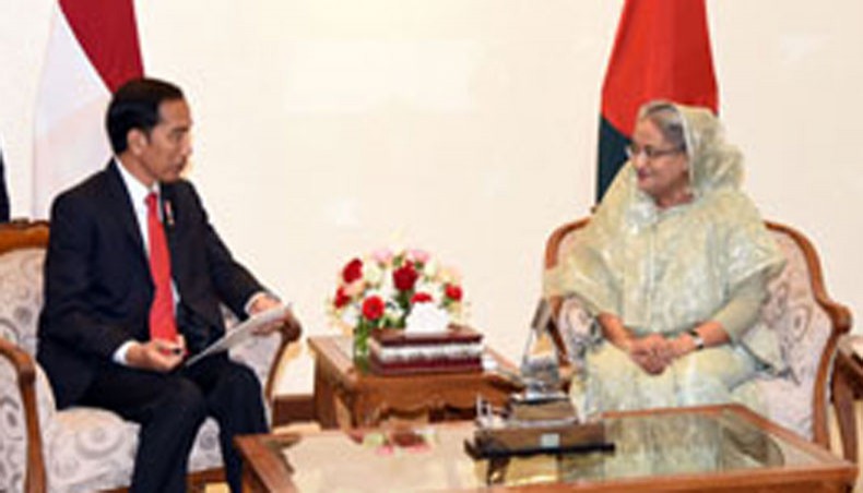  PM holds talks with Indonesian president