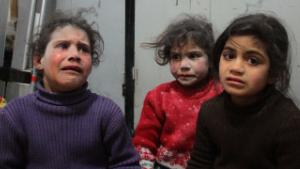 UN Security Council adopts Syria ceasefire resolution
