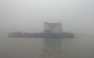 Heavy fog halts ferry service