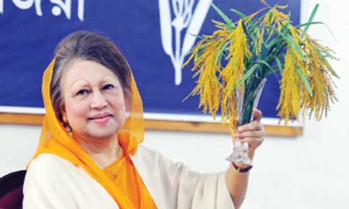 Khaleda urges people to protect voting right