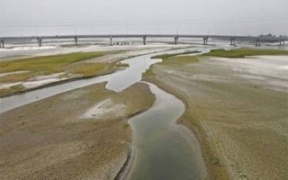 Teesta flow continues to fall