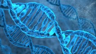 Scientists edit disease-causing gene mutation in human embryos