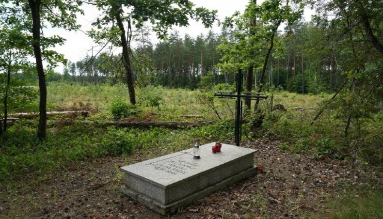 Remains of 8,000 Nazi war victims found in Poland mass grave