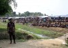 Myanmar says willing to take back all Rohingya refugees