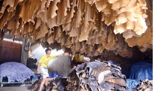 BSCIC gives tanners 72 hours to relocate tanneries from Hazaribagh 