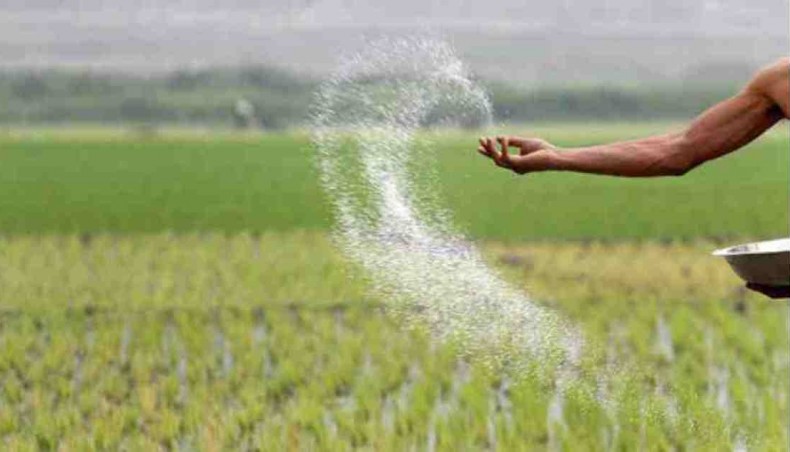 Bangladesh government raises fertiliser prices by Tk 5 per kg