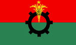 Many BNP leaders hold more than one post