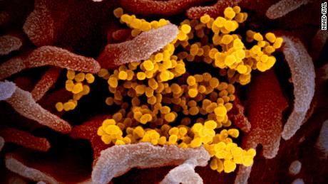 How Spain became a hotspot for coronavirus