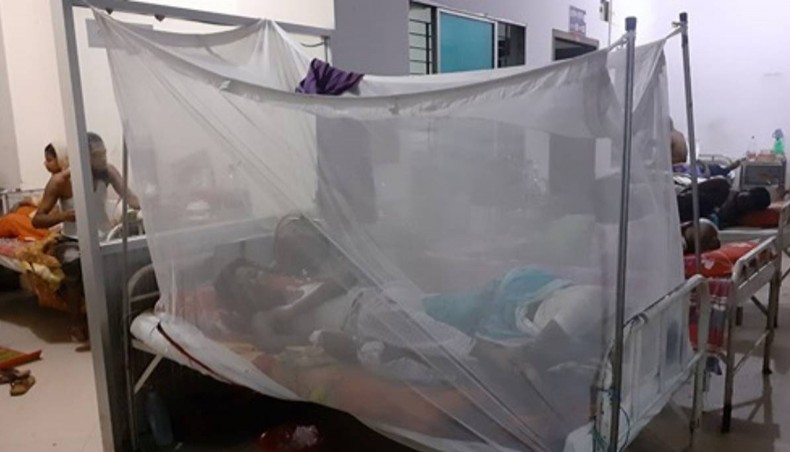 Death toll from dengue crosses 200