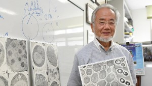 Yoshinori Ohsumi wins Nobel Prize for medical research on cells
