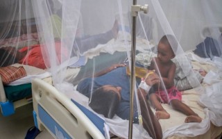 Low IEDCR dengue death figure questions treatment