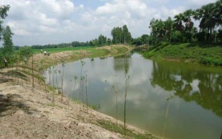 BMDA re-excavating over 700 more ponds in Rajshahi region