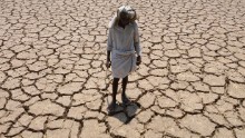 Mercury rising: India records its highest temperature ever