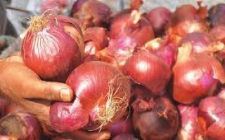  INDIA’S BAN ON ONION EXPORT India to allow export of pre-contracted onions to Bangladesh