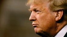 Trump: 'Schlonged' is not vulgar