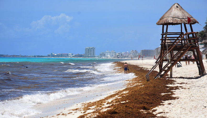 Mexico’s Caribbean coast prepares for Hurricane Grace