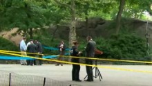 Man severely injured in explosion in New York's Central Park