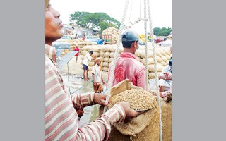 Why paddy won’t be purchased directly from farmers: HC 