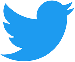 Twitter authorities roll out subscription for checkmarks