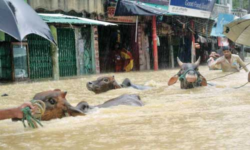 Torrential rain, flood claim 11 lives