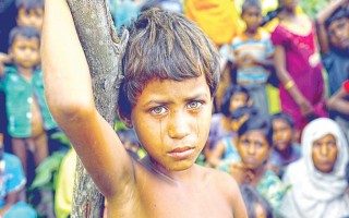 Rohingyas call on Suu Kyi to acknowledge atrocities