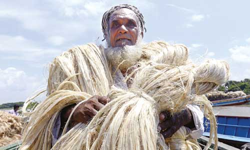Jute stockists create artificial crisis, allege exporters, spinners