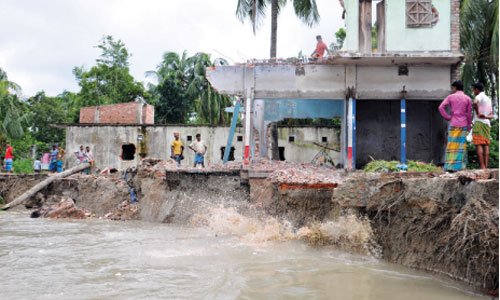 Receding floods leave behind acute Aman seedling crisis