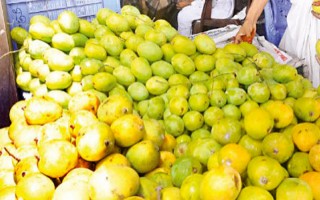 Chemically ripened mangoes flood city markets