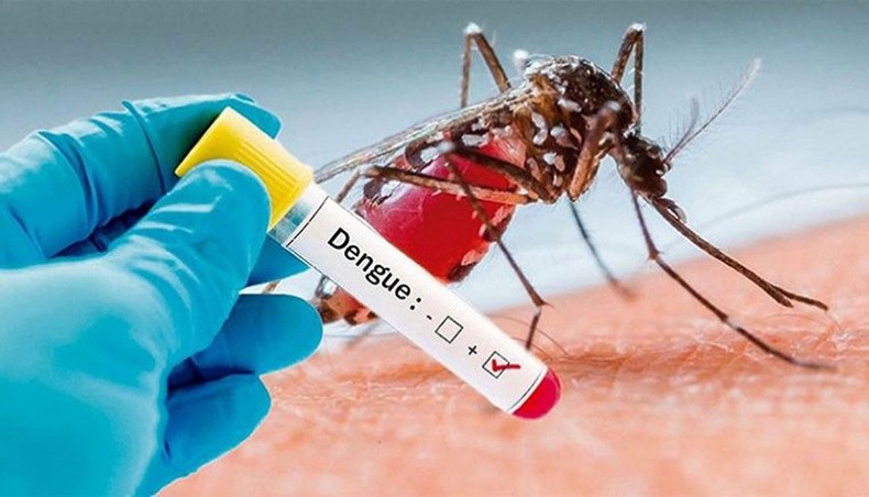 Bangladesh reports one more dengue death, hospitalisation of 635 others