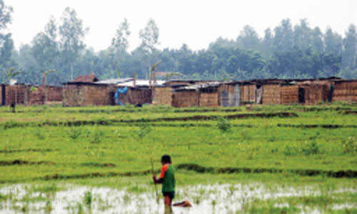 Rangpur sugar mill farmland: Over 1,000 Santal families left in trap