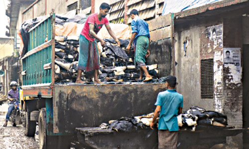 City tanners’ daily fine cut to Tk 10,000