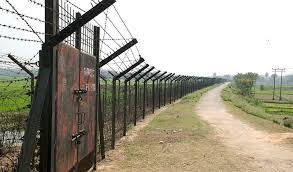 20 Bangladeshis killed by BSF in 2015