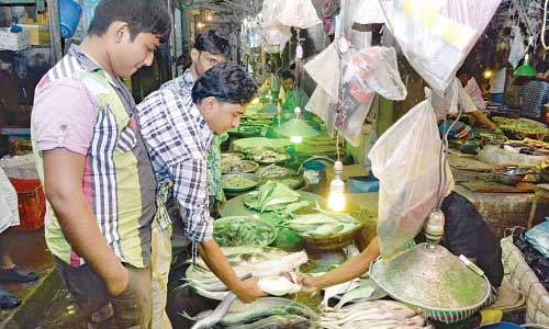 Fish prices increase in capital