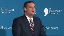 Cruz to Trump, GOP: If we don't deliver 'there will be pitchforks and torches in the streets'