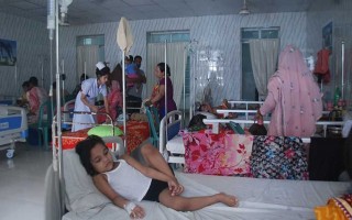 Four more die of dengue Patient hospitalisation declines