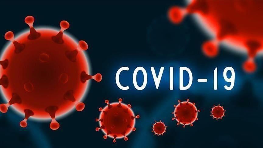 Global Covid-19 cases top 181 million