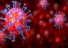 DU decodes five genomes of coronavirus