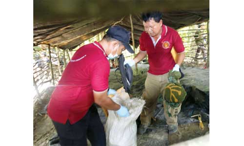 MASS GRAVES IN THAI JUNGLES, Second death camp discovered.