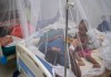 Three more die of dengue