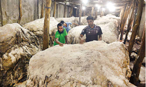 Tanners cut rawhide prices by 10pc